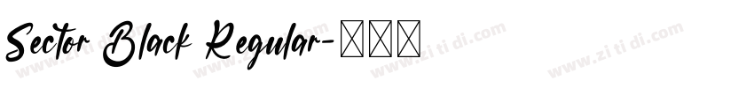 Sector Black Regular字体转换